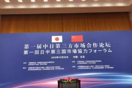 安倍晉三訪華 協(xié)鑫、天合和晶科為光伏行業(yè)長臉了！